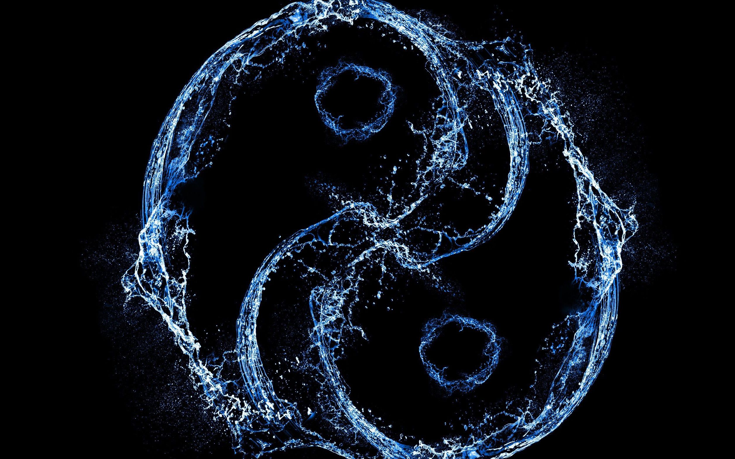 李鸿昊vs杜非凡 如果真的存在上帝,允许你书写自己的命运,会/不会写